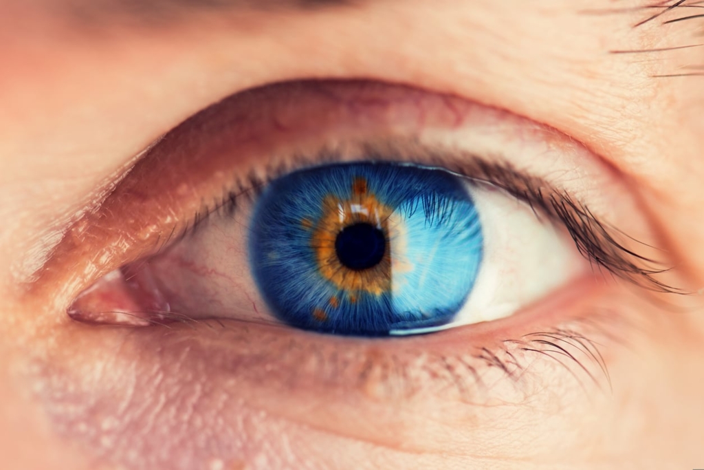 The Fascinating Science Behind Eye Color image